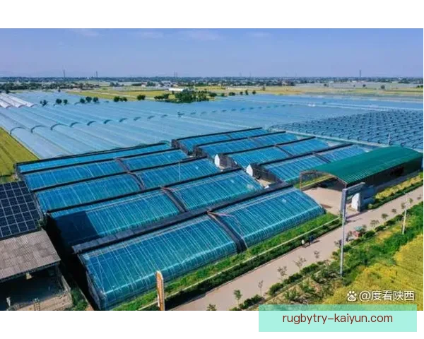 诺丁汉森林传奇正处于退役后生涯初期，备受关注的未来动向值得期待